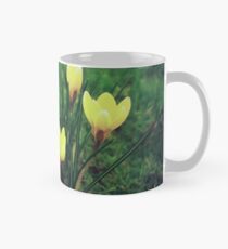 Spring is Coming Tasse (Standard)