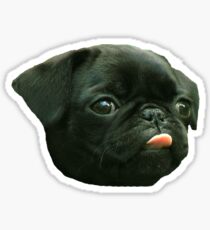 Pegatina Pug Pup