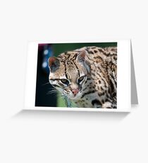 ocelot staring intense look Grußkarte