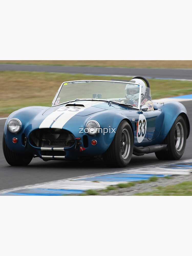 Blue Snake by zoompix