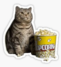 Pegatina gato de palomitas de maíz