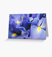 Ballet of the Petals Greeting Card