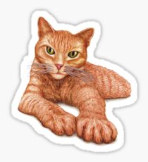 Orange Tabby Sticker