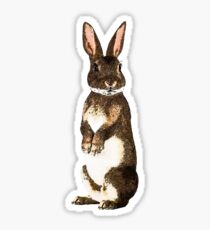 Hase Sticker