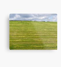 Bright & Colourful Metal Print