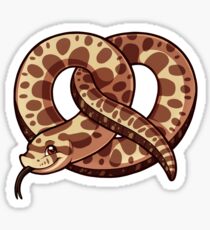 Hognose Snake Gifts & Merchandise | Redbubble