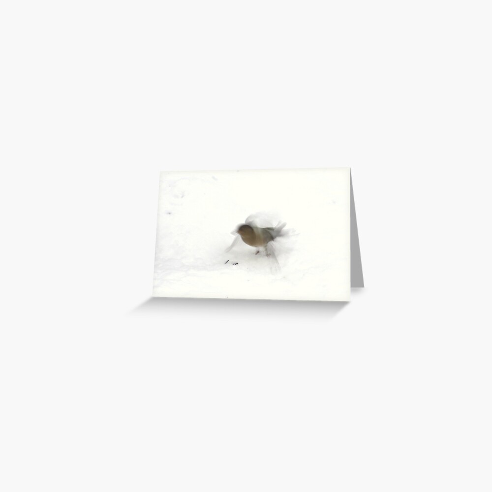 Morning feed Greeting Card