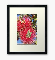 wiskers Framed Print