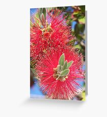 wiskers Greeting Card