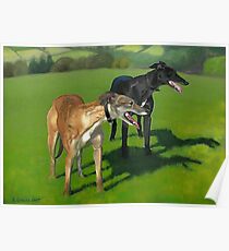 Greyhound Portrait - Oil on Canvas Poster