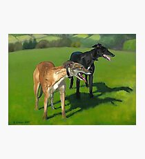 Greyhound Portrait - Oil on Canvas Photographic Print