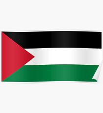 Palestine - Standard Poster