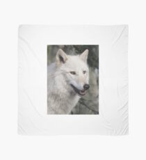 Grey Wolf Portrait Scarf