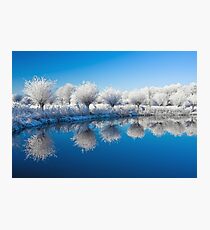 Winter White In Reflected Blue Photographic Print