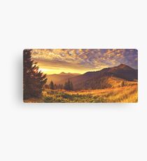 Golden Mountain Road Canvas Print