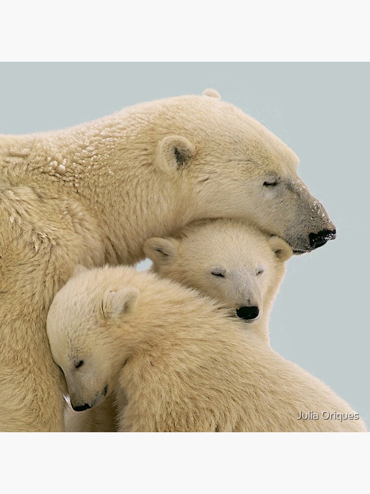 Polar bear by juliaoriques