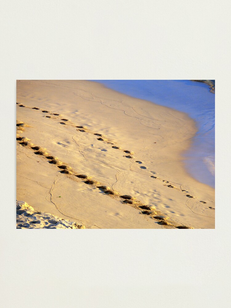 Alternate view of Father and Son Photographic Print