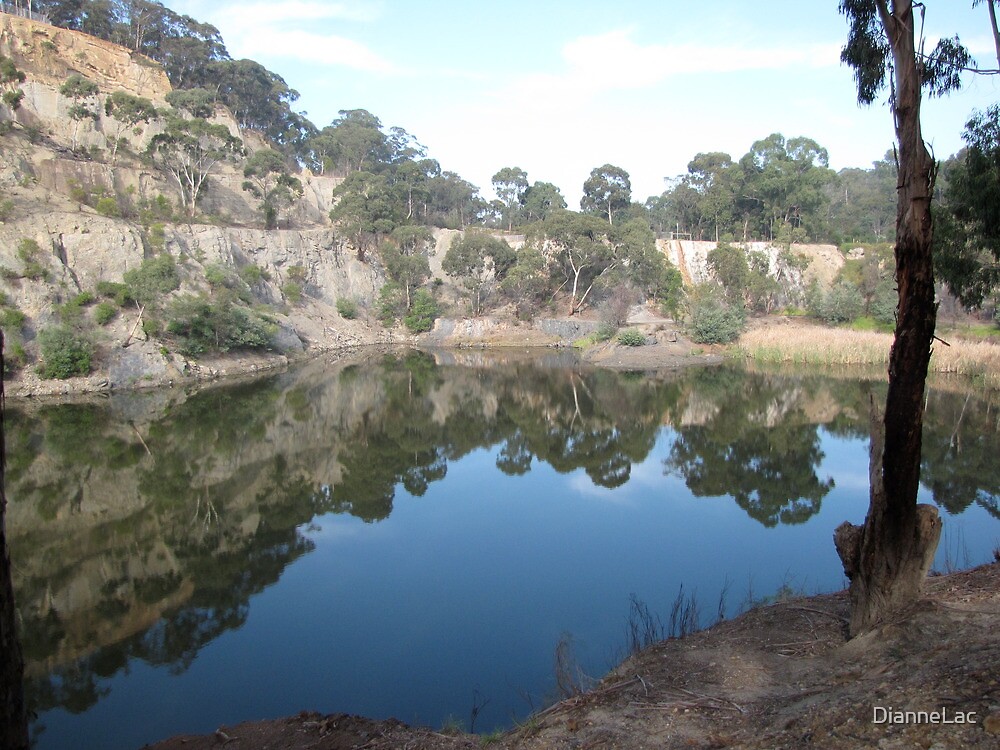 "Blue Lake in Plenty Parklands Victoria" by DianneLac Redbubble