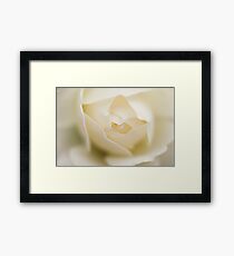 White Rose Framed Print