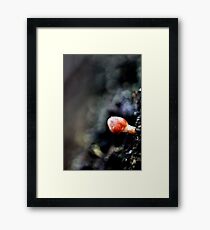 Small World Of Red Framed Print