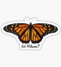 Pegatina Mariposa Monarca - ¿Tienes algodoncillo?
