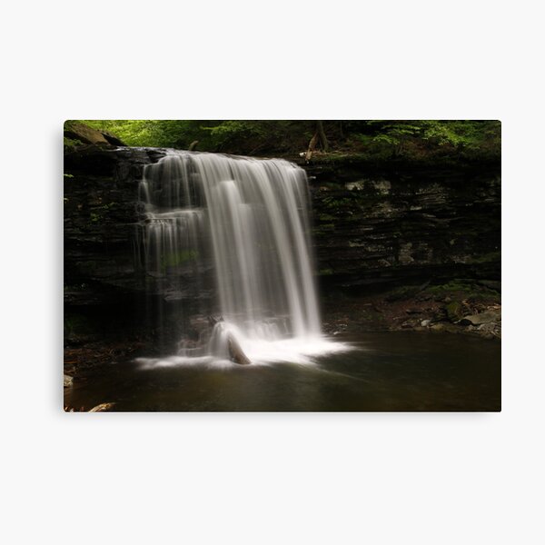 Harrison Wright Waterfalls-Ricketts Glen State Park Canvas Print