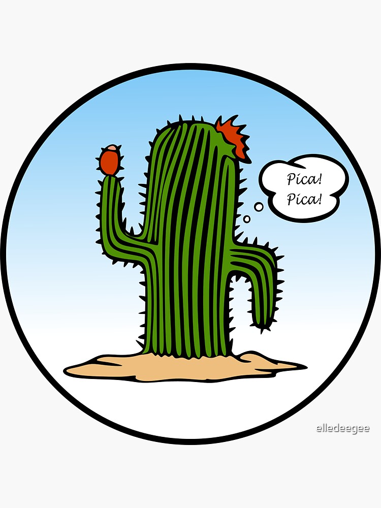 Spanish Cactus by elledeegee