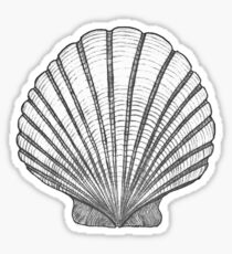 Shell Stickers | Redbubble