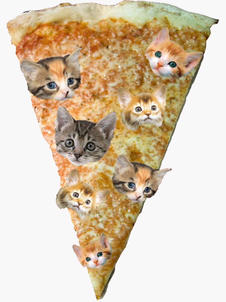 Кот с пиццей картинка