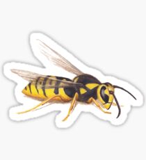 The Wasp Sticker