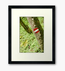 Marker Framed Print