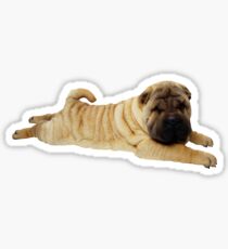 Pegatina Shar Pei