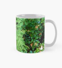 Farne Tasse (Standard)