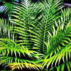 «Infernal» de Noble Upchurch