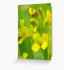 oh its all good :) Greeting Card