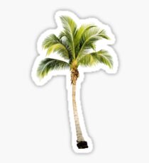 Palme Sticker
