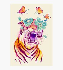 Tropicalia Photographic Print