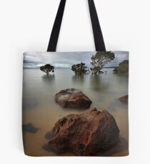 Approaching the Forest Tote Bag