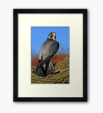 ''Stoop'' on Log Framed Print