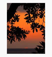 Lámina fotográfica Ohia Sunset