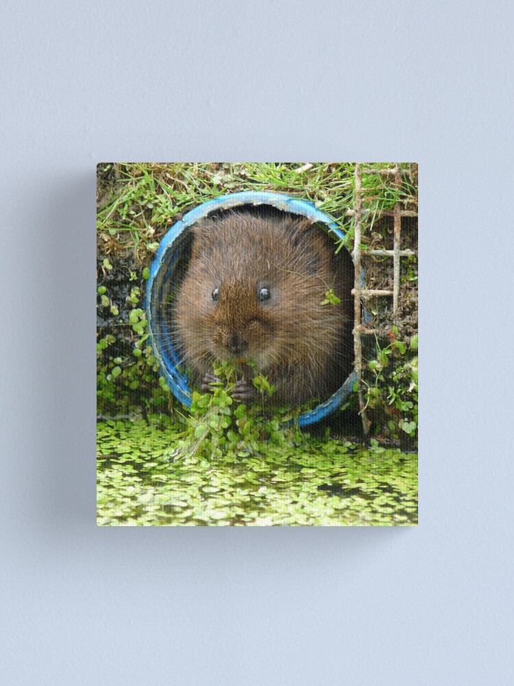 Alternate view of Eat your greens! Canvas Print
