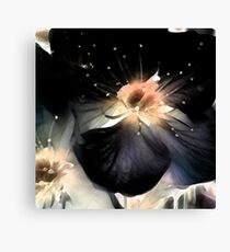 Midnight Sun Canvas Print