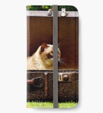 Vinilo o funda para iPhone British de pelo corto