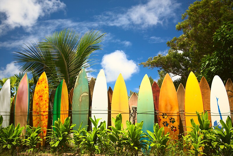 "Surfboards on Maui, HI (USA)" by Andrey Popov Redbubble