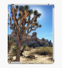 Joshua Tree National Park iPad-Hülle & Klebefolie