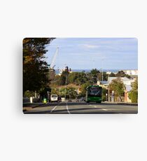 TIMARU Canvas Print