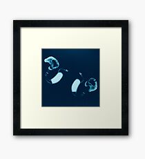 Accessories For My Disability 2/4 Framed Print