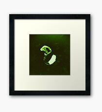 Accessories For My Disability 4/4 Framed Print