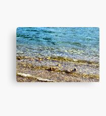 Beautiful Water Metal Print