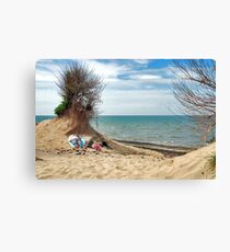 A place in the sun....... Canvas Print